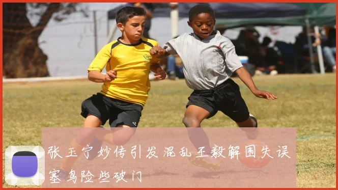 张玉宁妙传引发混乱王毅解围失误塞鸟险些破门